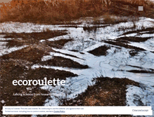 Tablet Screenshot of ecoroulette.com